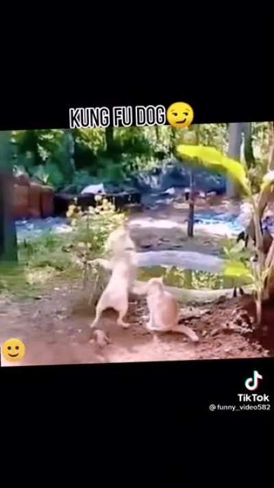 Booom
