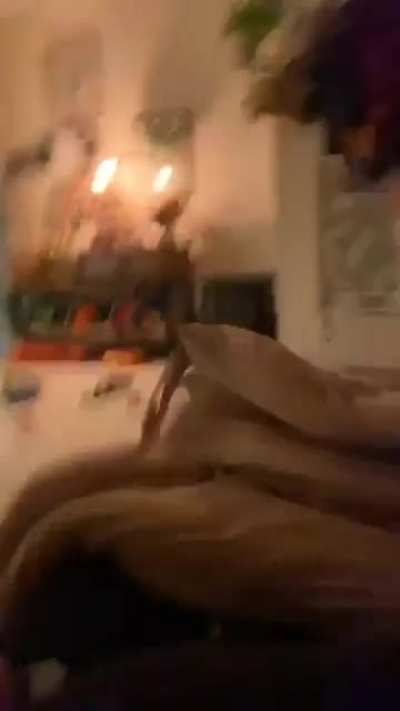 Perfectly cut doggo