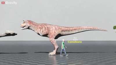 Let's explore a size comparison of dinosaurs. 