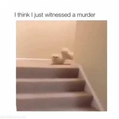 Malicious Doggo
