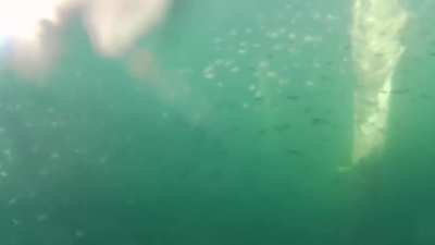 Harbor View-From Below...