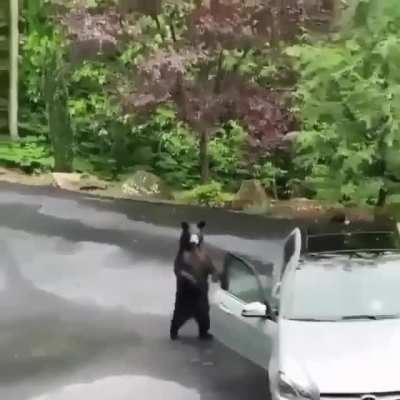 Don't be so bearish... I say this fits here.