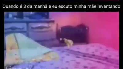 trauma