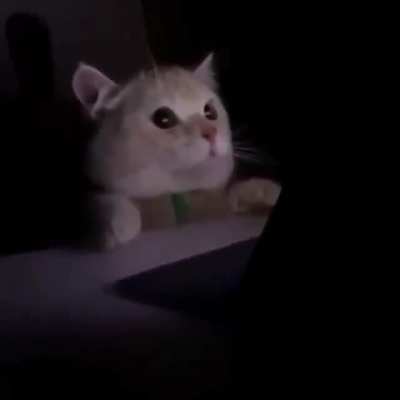 When you accidentally turn on light mode