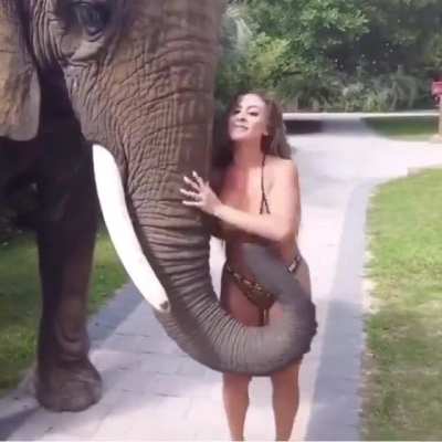 To get a picture
