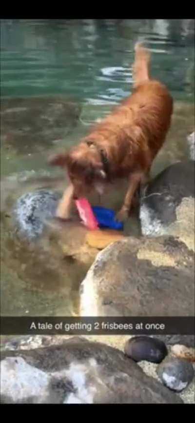 good boy can't waste time
