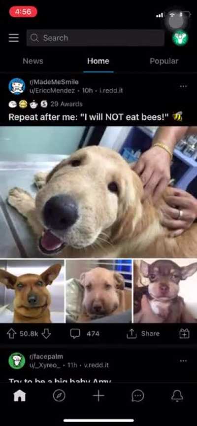 Friggin bees