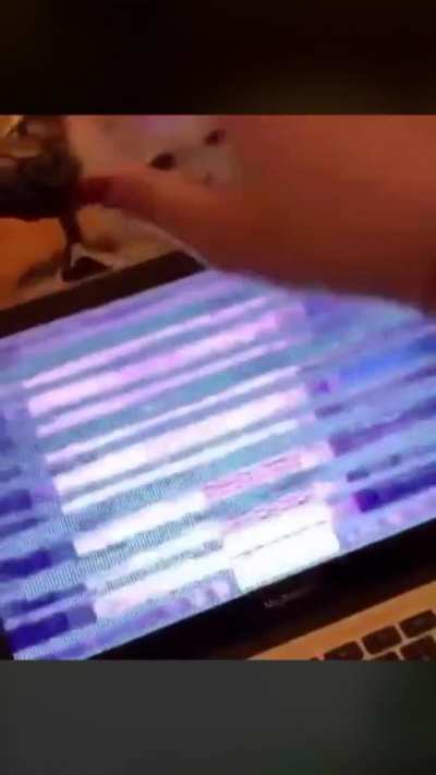 R.I.P computer.