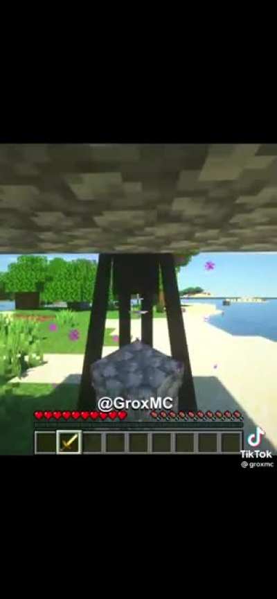Hehe enderman go brrr