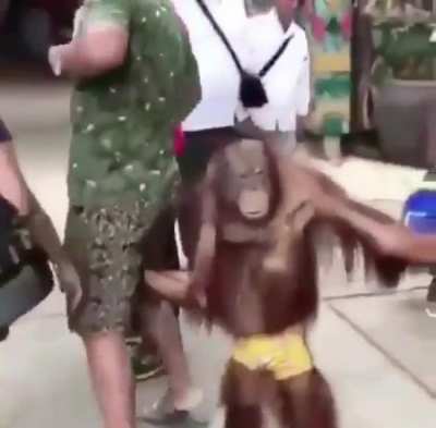 Teaching my DEO monkey some new tricks