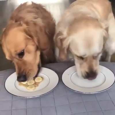 I'm sorry were you eating that?