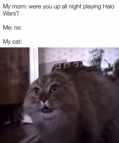 “All Units”