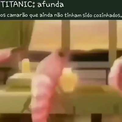 camarão