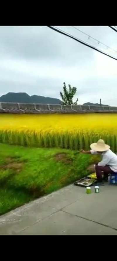 Beautiful landscape.. oh wait..