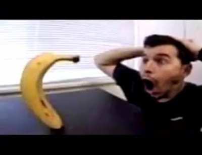 dealtanerune