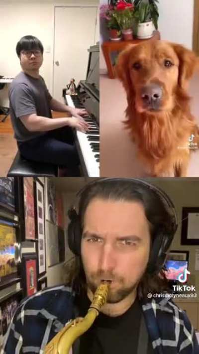 🗿