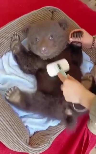 Scratching.