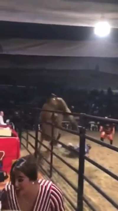 Rodeo rides the Bull