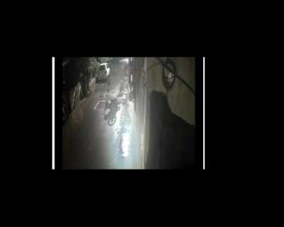 Pack of Dogs attack at night, they return again in the end