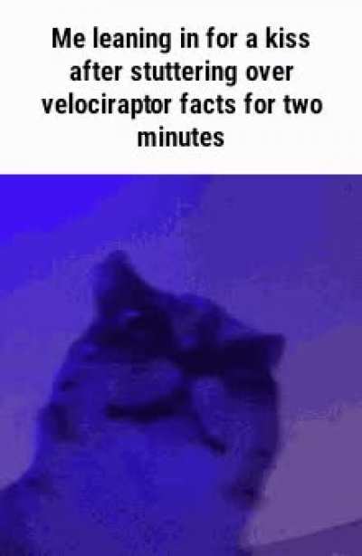 67329