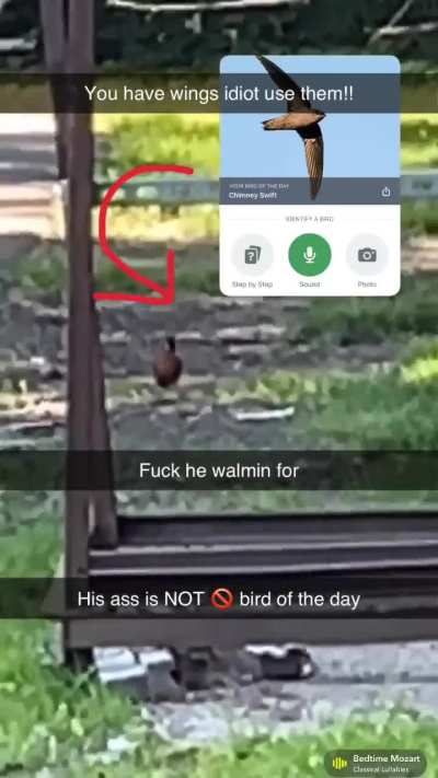 What he walmin for