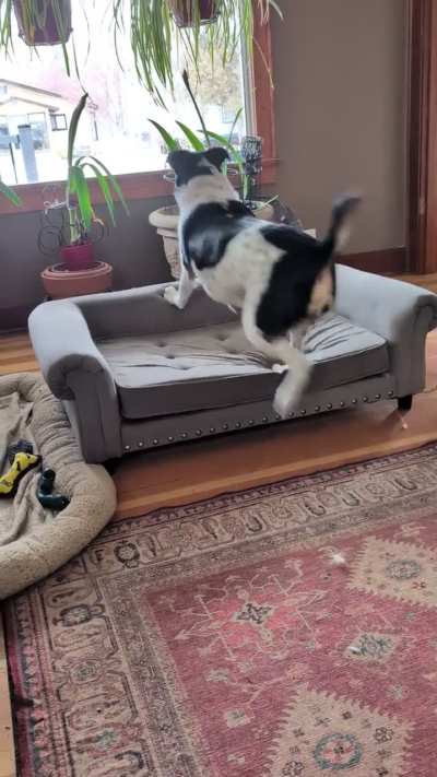 !!!