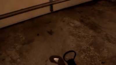Homemade laser shotgun (fuck you ATF)