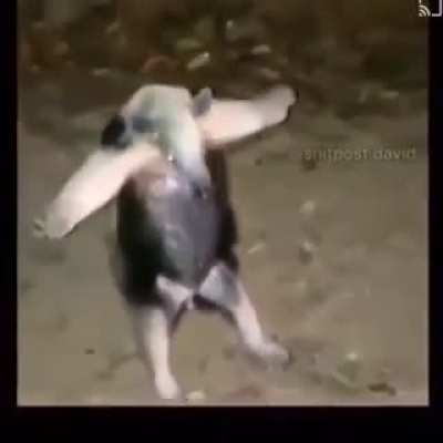 Uuuuuuuuuuuuuuuuuuu