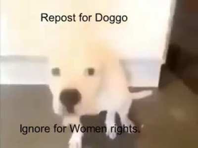 Do it