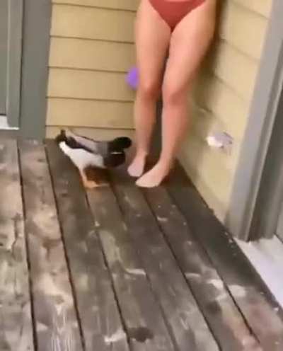 Good boy Jerry