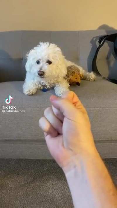 Wait for it…