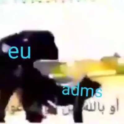 bb