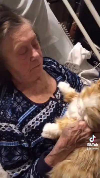 Grandmother with dementia gets a lifelike cat doll for companionship