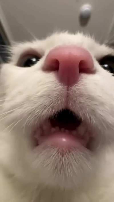 POV: you are a can of tuna