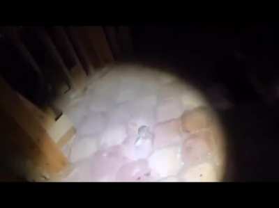 Clip from the youtube channel “OffTheRanch” in his “Exploring the abandoned mansion” video.