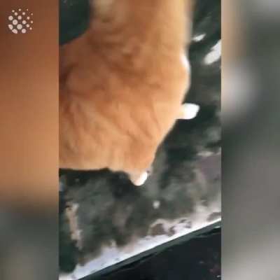 Oh Lawd he rollin'