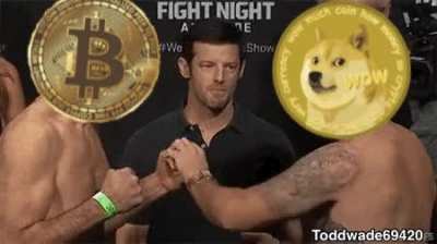 Dogecoin 😂😂
