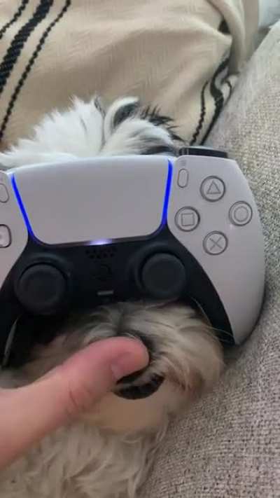 Got that new controller accessory.