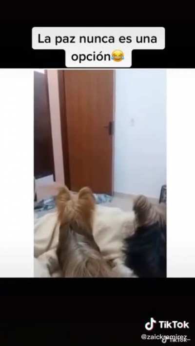Now you see me...