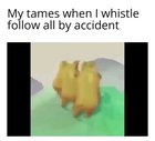 *FOOTSTEPS INTESIFIES*