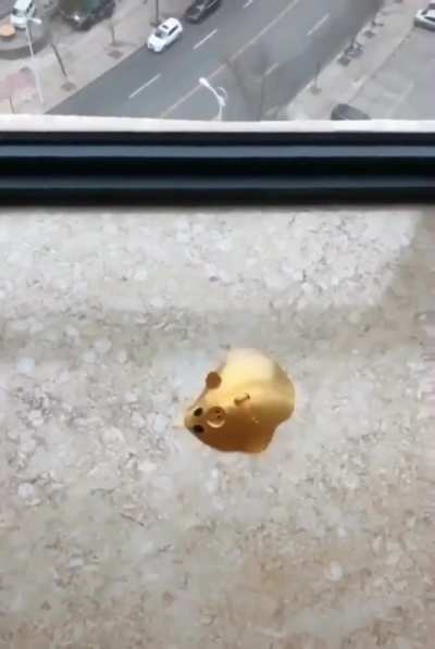 blursed_pig