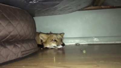 he S K R E M