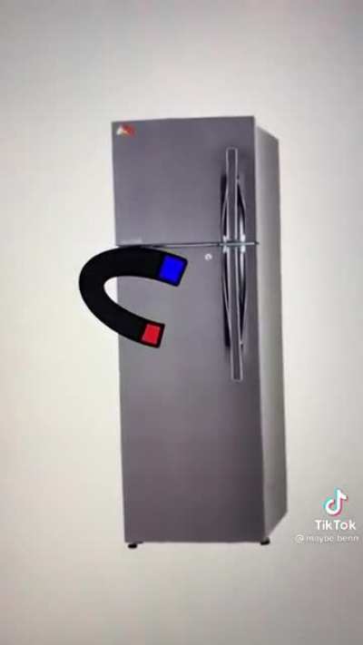 Magnet