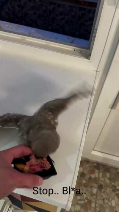 Maybe Maybe Maybe