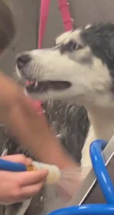 Just a normal day at the hospital