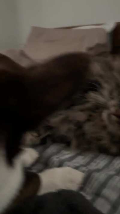 a “nice” moment of Lizzie and her sister