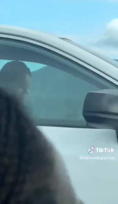 Imagine driving next to Lana Del Rey 😂