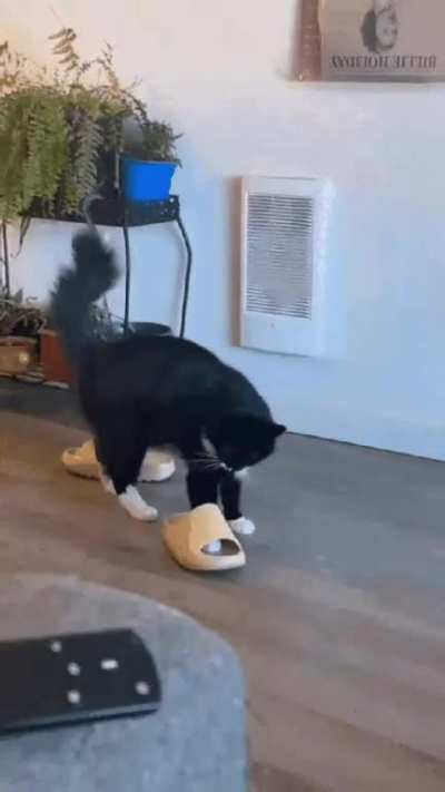 WTF