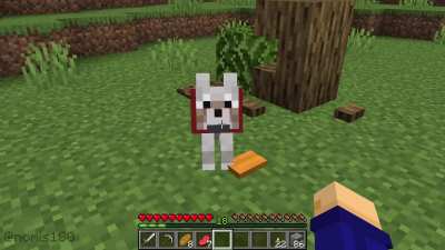 HELL NAW! 🗣️🌳🍴🐕
