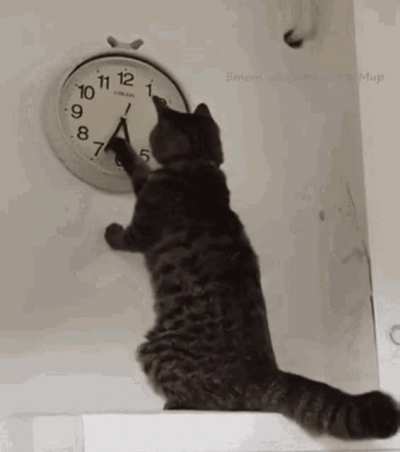 Me waiting three more minutes for the full 18 hour fast with my prepped meal in front of me.